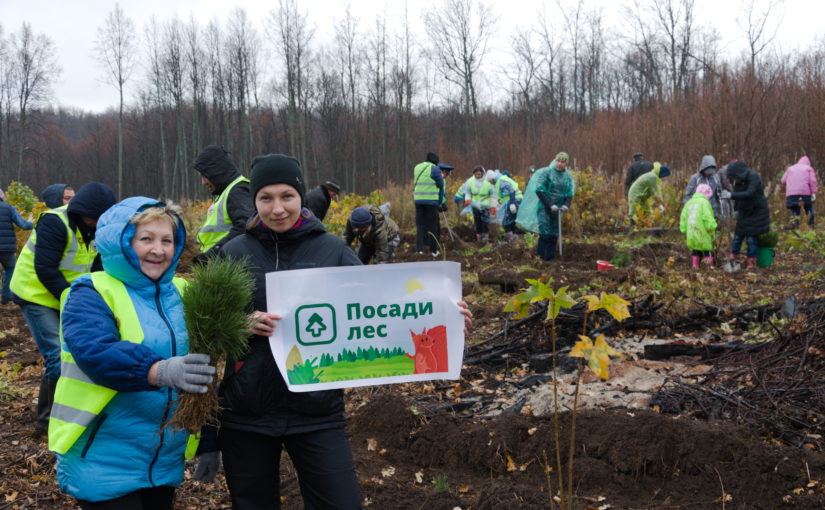 В России стартовал конкурс среди тех, кто восстанавливает лес