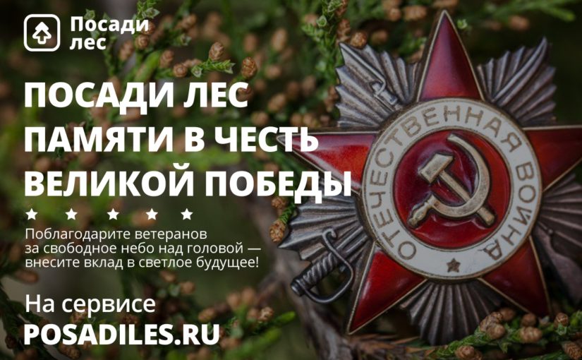 Живая память: россияне посадят деревья в честь своих ветеранов